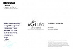 AGILEO-CharteGraphique.indd